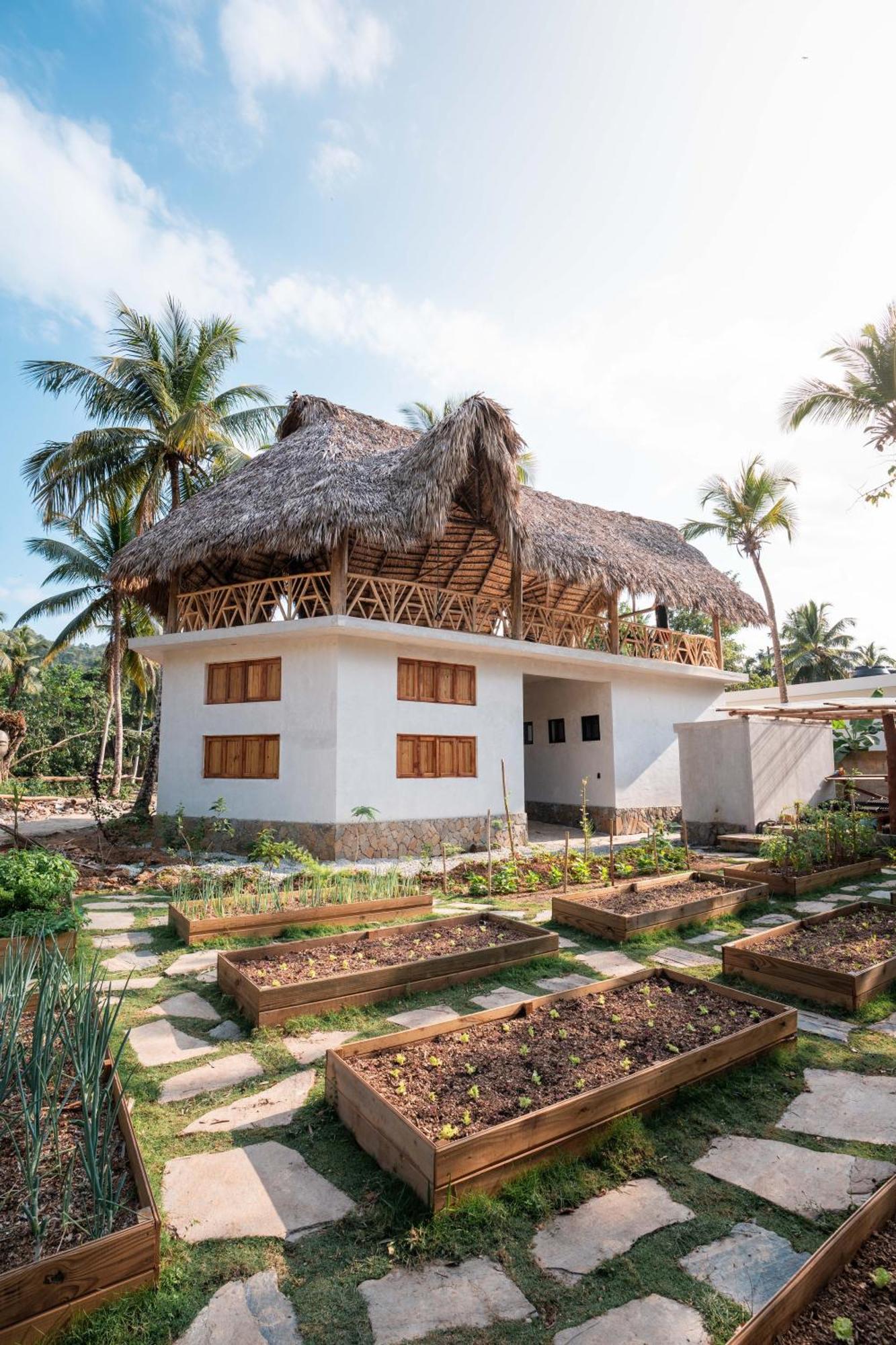Leisy'S Garden Hostel & Rooms Samana Exterior foto